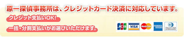 クレジットカード決済に対応しています。